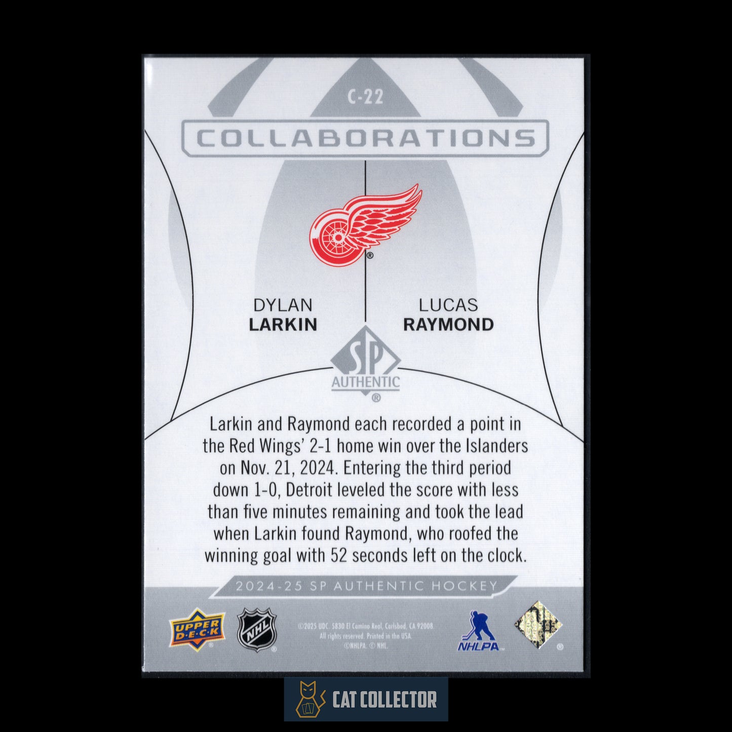 2024-25 UD SP Authentic DYLAN LARKIN / LUCAS RAYMOND #C-22 Collaborations