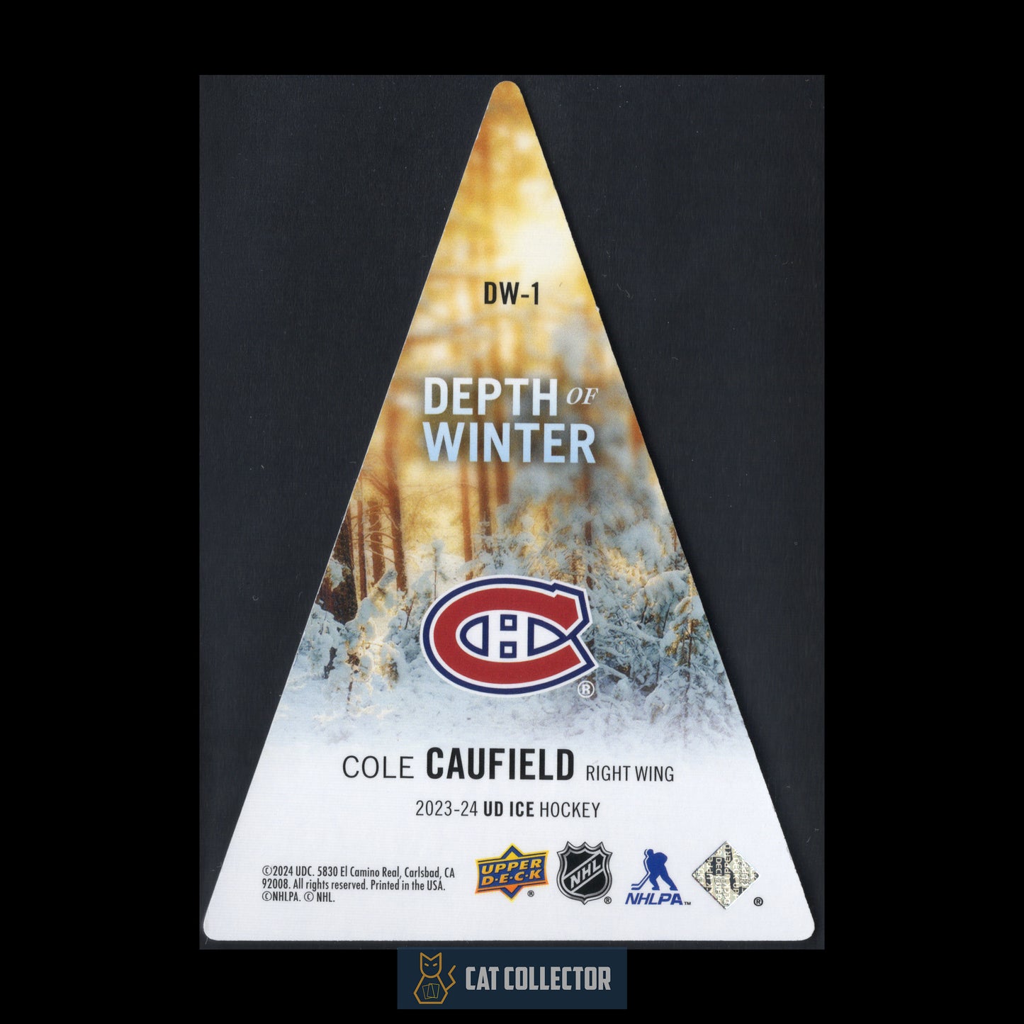 2023-24 Upper Deck Ice COLE CAUFIELD #DW-1 Depth of Winter