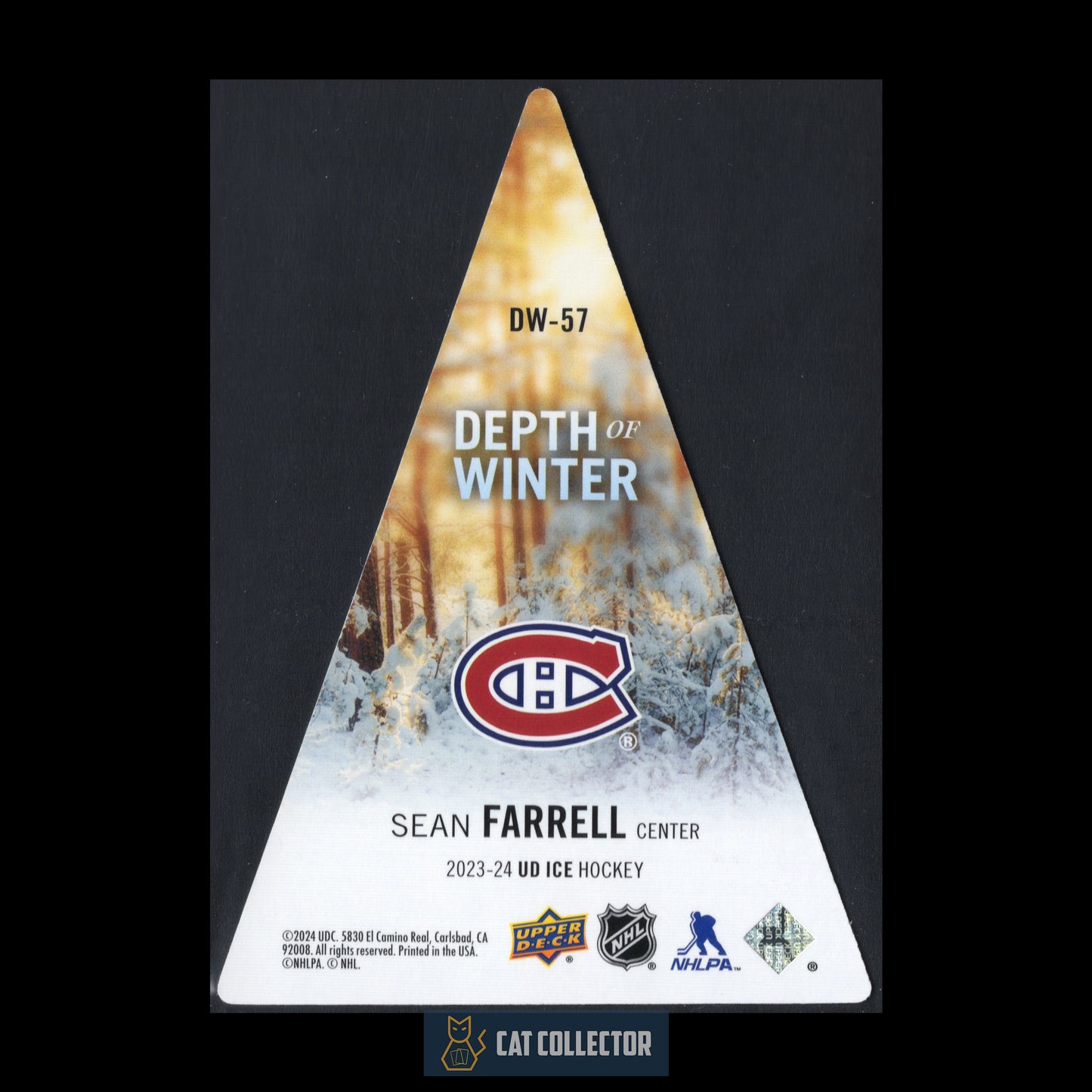 2023-24 Upper Deck Ice SEAN FARRELL #DW-57 Depth of Winter Rookie RC