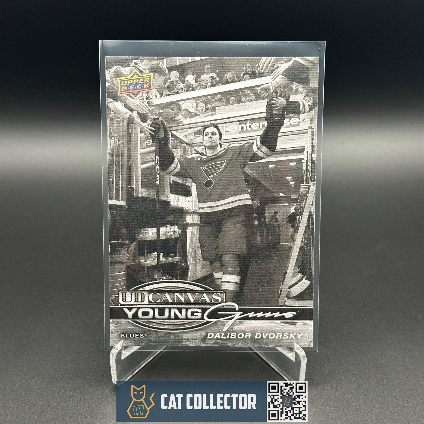 2025-26 UD Series 1 DALIBOR DVORSKY #C-107 UD Canvas Young Guns Black & White RC