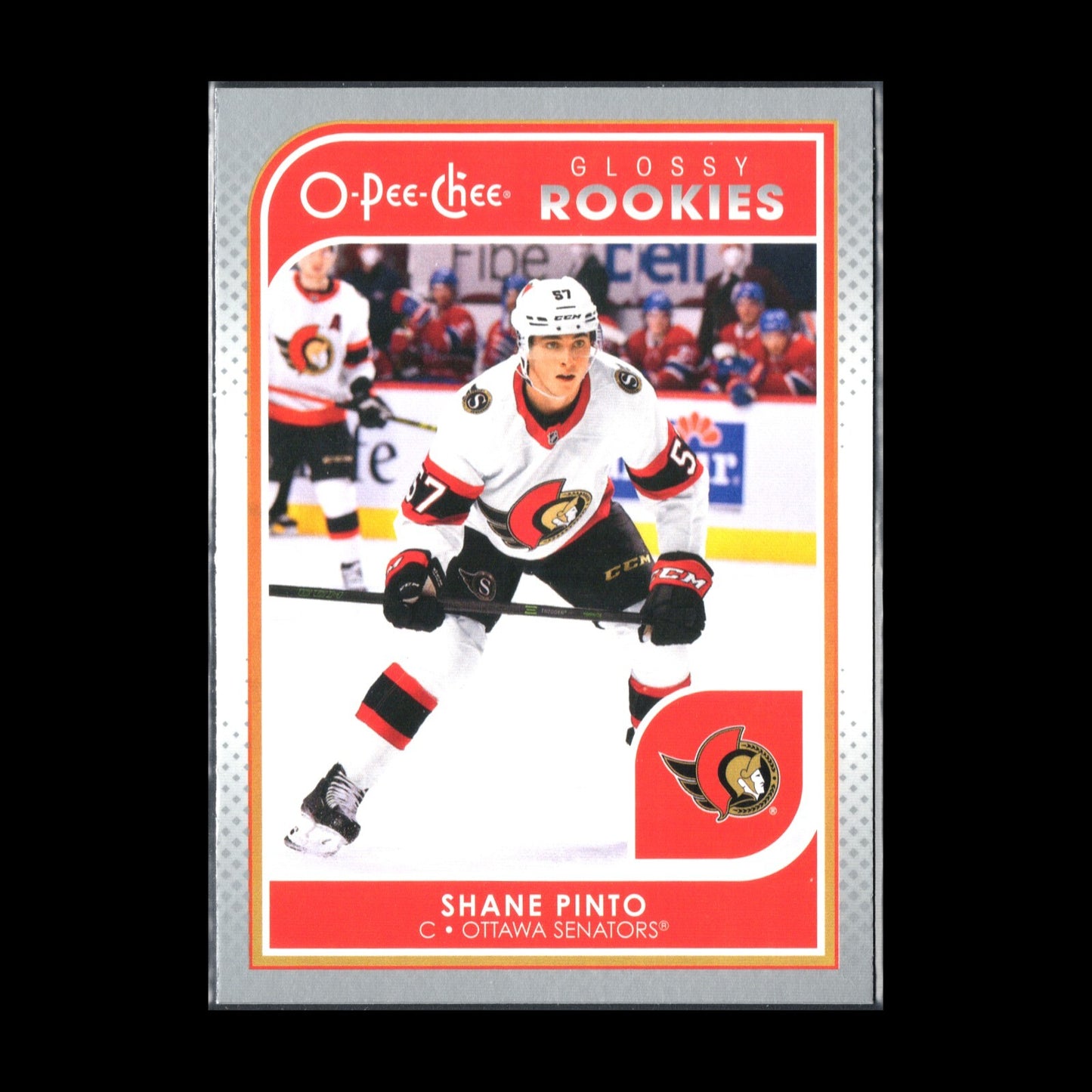 2021-22 UD Series 1 SHANE PINTO #R-4 O-Pee-Chee Glossy Rookies Silver RC