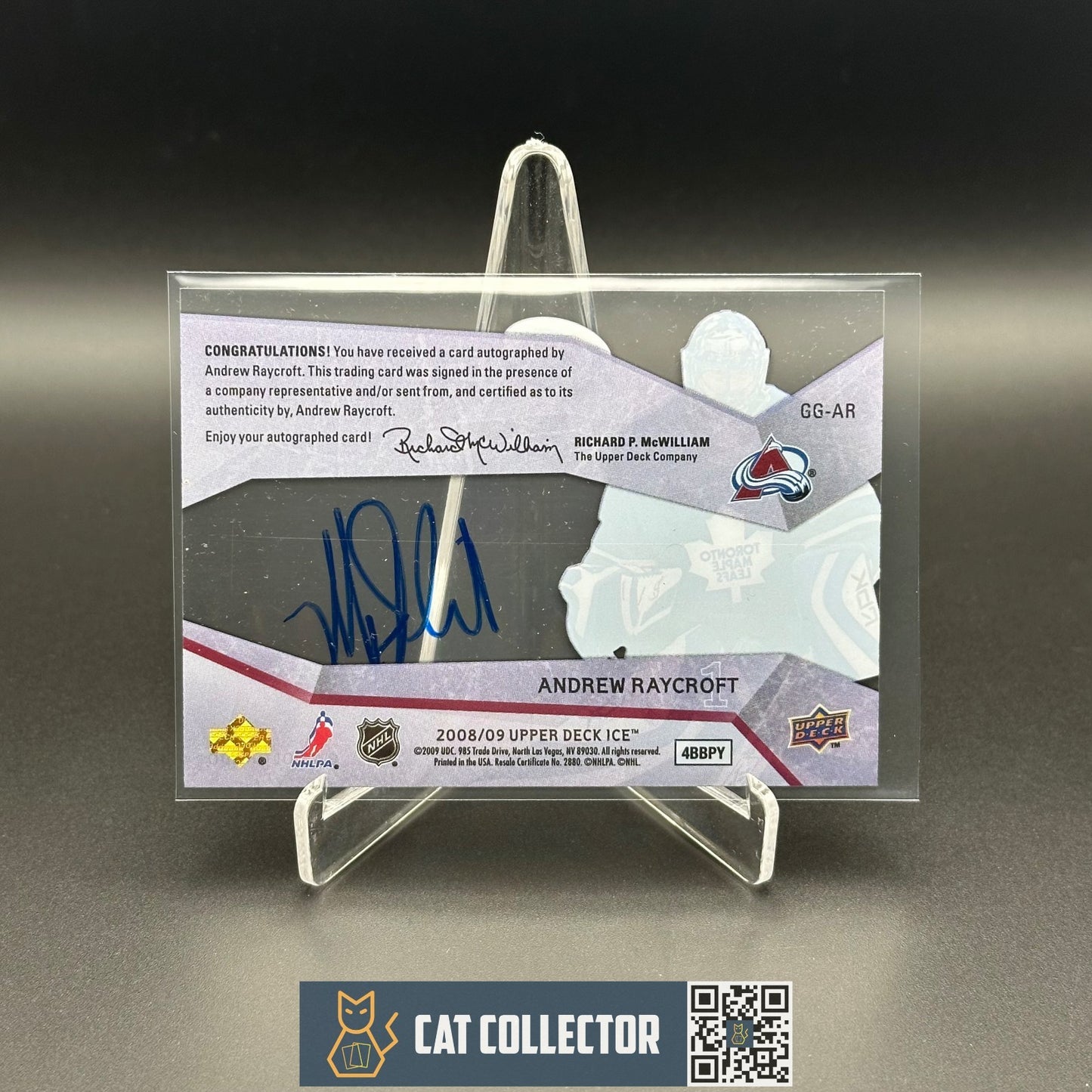 2008-09 UD Ice ANDREW RAYCROFT #GG-AR Glacial Graphs Auto