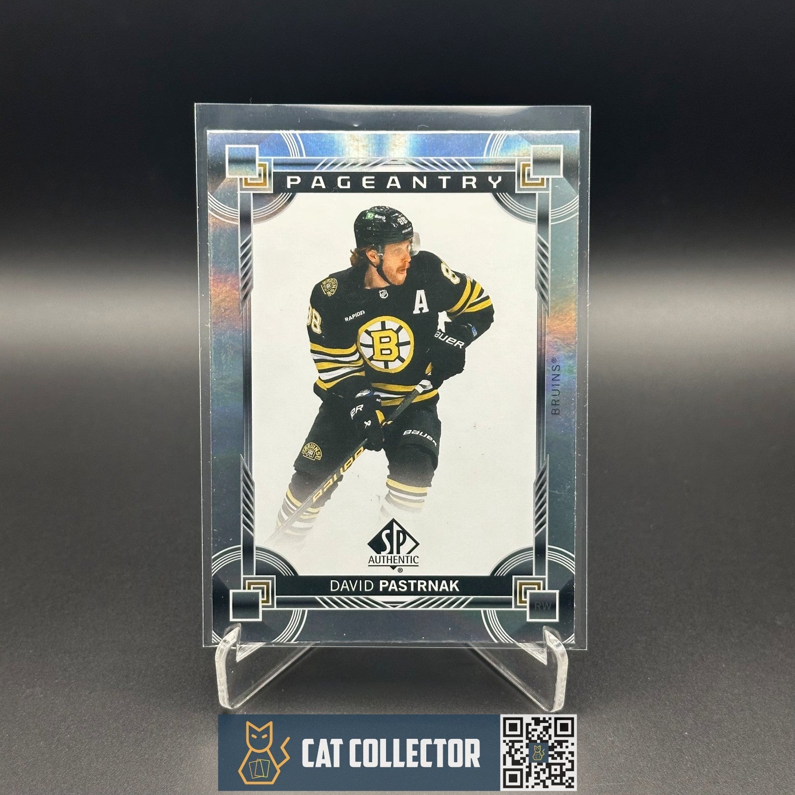 2024-25 UD SP Authentic DAVID PASTRNAK #P-45 Pageantry