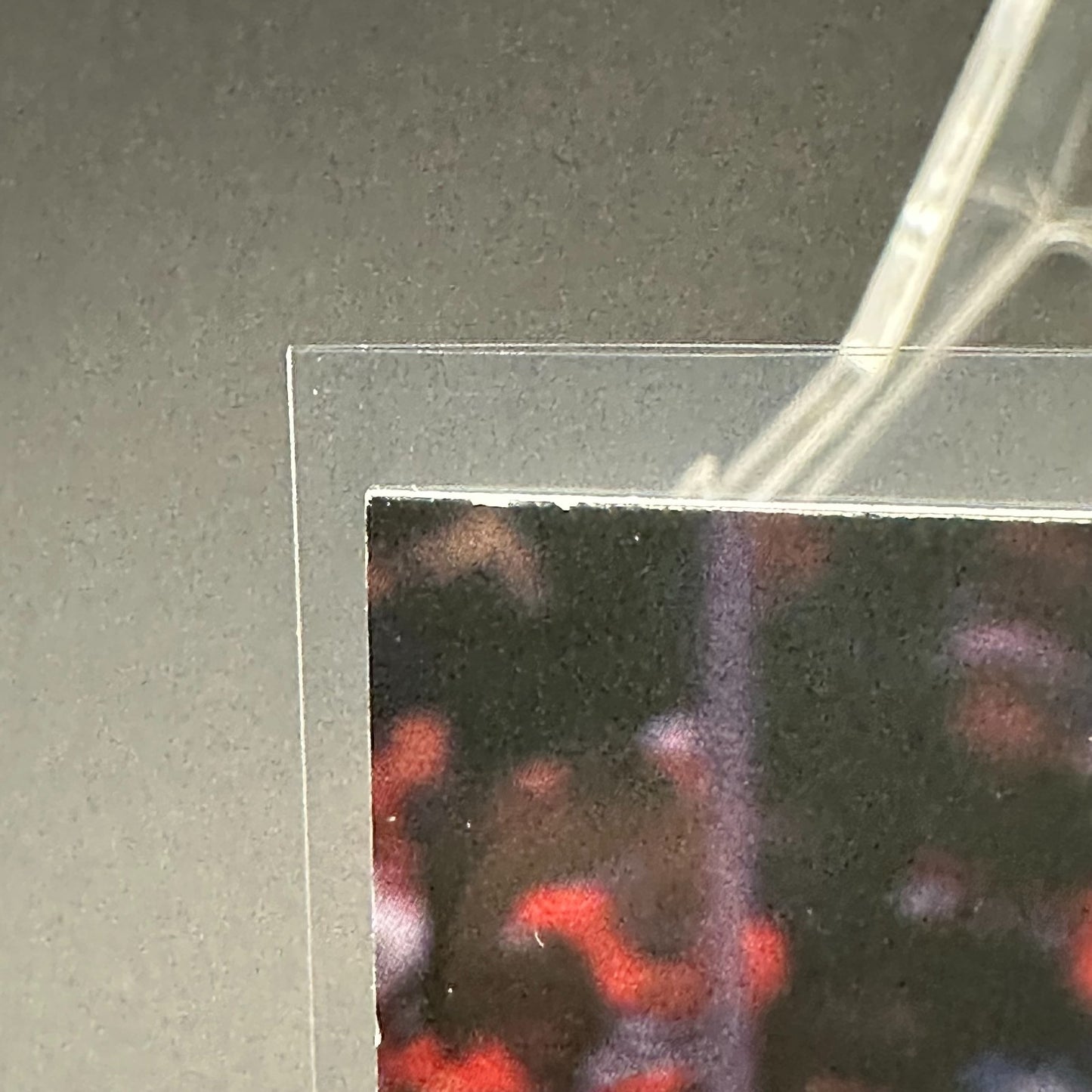 2022-23 UD Series 2 KAIDEN GUHLE #480 Young Guns / Jeunes loups (French) RC