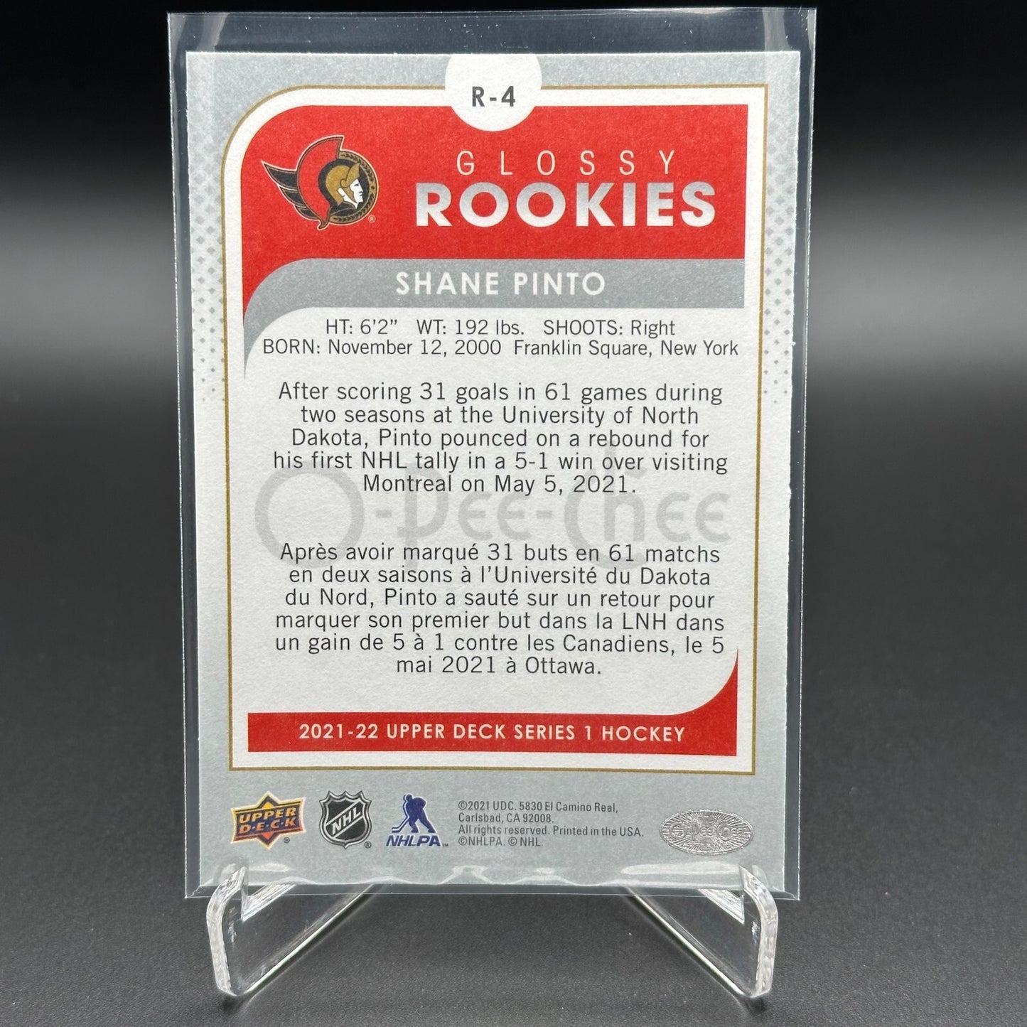 2021-22 UD Series 1 SHANE PINTO #R-4 O-Pee-Chee Glossy Rookies Silver RC