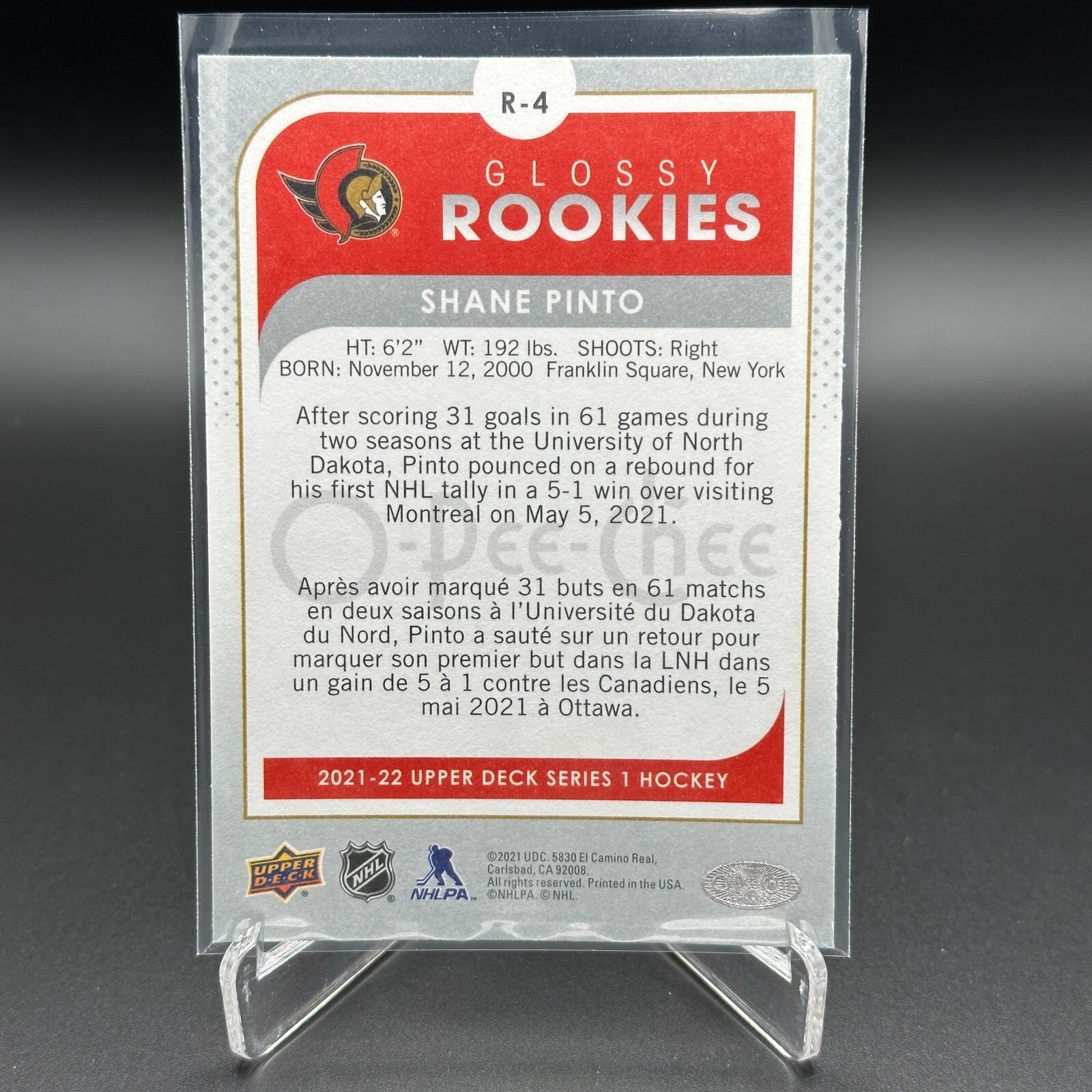 2021-22 UD Series 1 SHANE PINTO #R-4 O-Pee-Chee Glossy Rookies Silver RC
