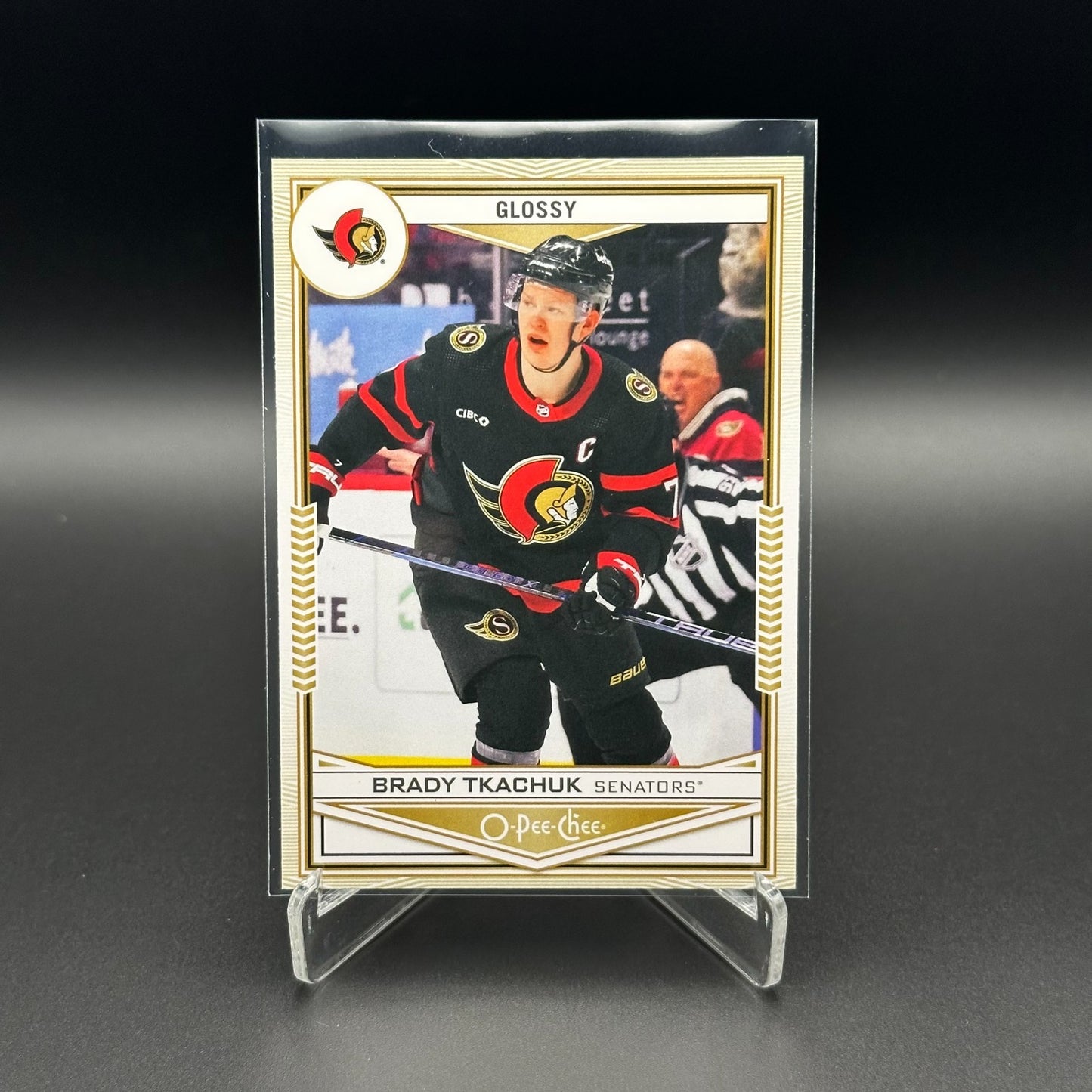 2024-25 UD Series 1 and 2 O-PEE-CHEE GLOSSY inserts ~ YOU PICK from the list!