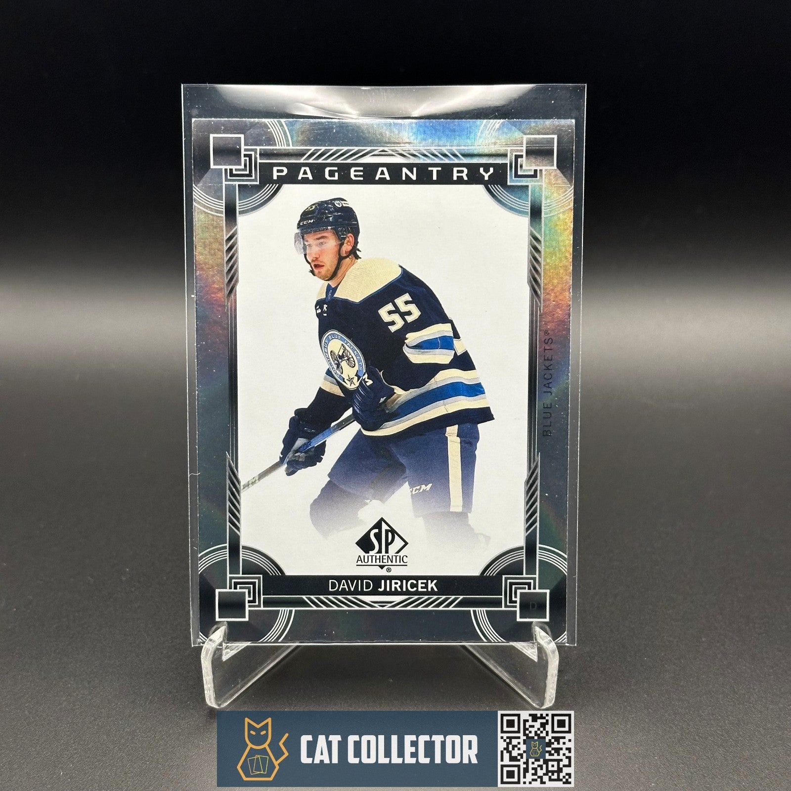 2024-25 UD SP Authentic DAVID JIRICEK #P-60 Pageantry