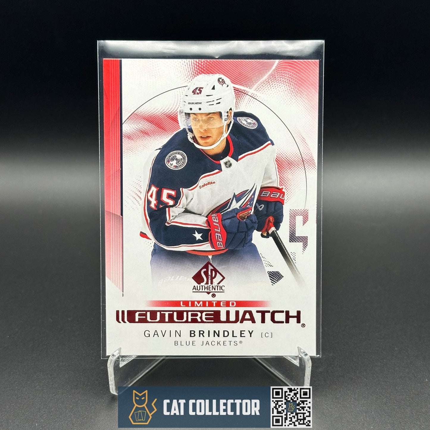 2024-25 UD SP Authentic GAVIN BRINDLEY #111 Future Watch Limited Red RC