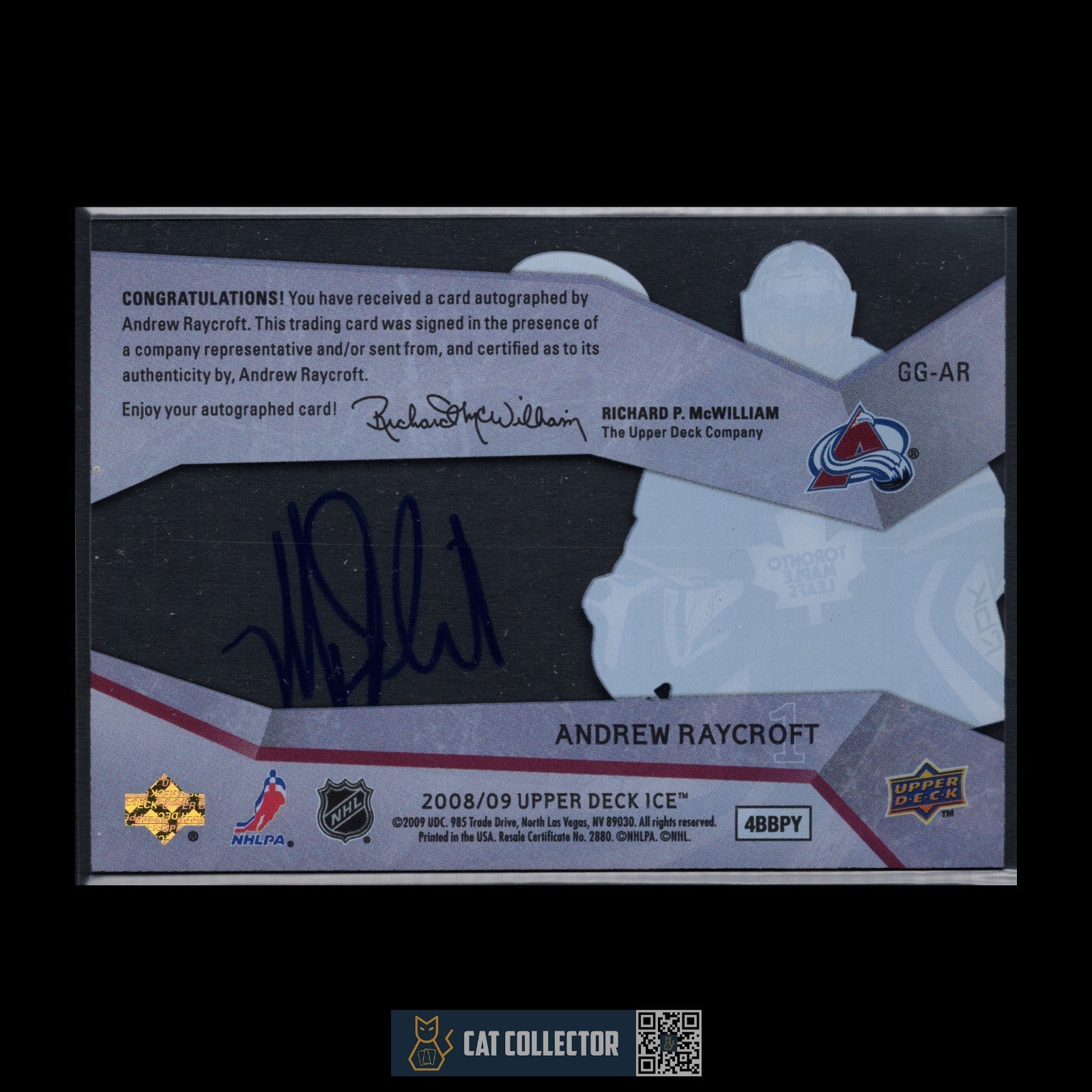 2008-09 UD Ice ANDREW RAYCROFT #GG-AR Glacial Graphs Auto