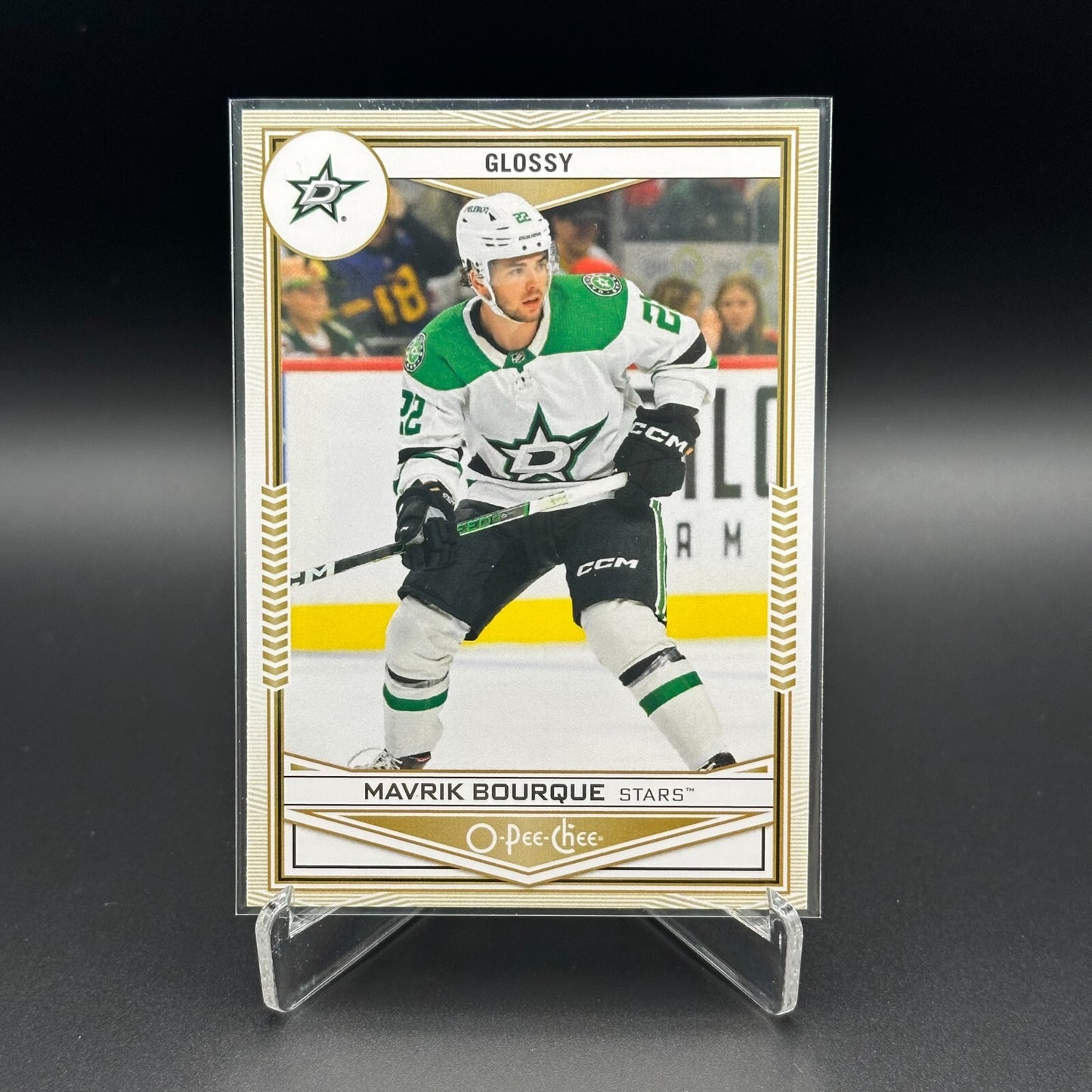 2024-25 UD Series 1 and 2 O-PEE-CHEE GLOSSY inserts ~ YOU PICK from the list!